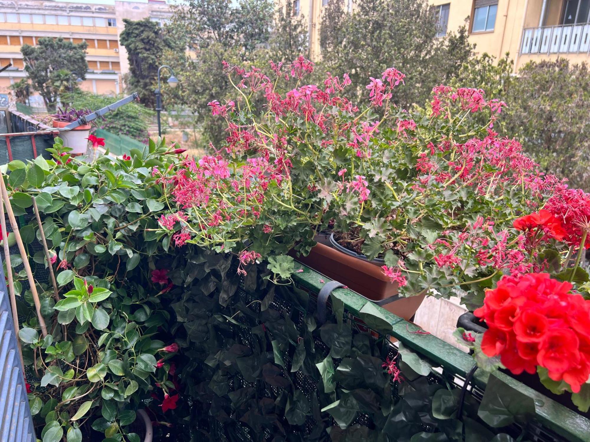 Savia Home Κατάνια Εξωτερικό φωτογραφία